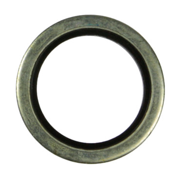 Pakringe (Bonded seal)