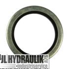 Pakring (Bonded seal)
